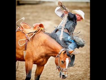 Cowboy Jim Berry is tossed from a horse called Xile Hills in the saddle bronc event at the Calgary Stampede rodeo. AL CHAREST/POSTMEDIA