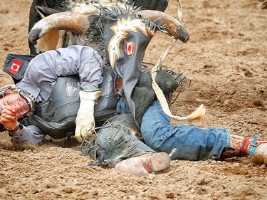 Bull rider Tim Lipsett rode True Colors to a score of 80 points at the Calgary Stampede rodeo. AL CHAREST/POSTMEDIA