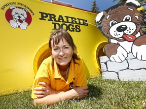 Lisa Beaulieu, captain of the Spruce Meadows Prairie Dogs sets up for the Spruce Meadows North American, which runs July 5-9.