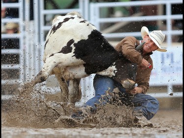 Cody Cassidy from Donalda, Alberta competes in the steer wrestling event on day 5 of the Calgary Stampede rodeo, Tuesday  July 11, 2017. GAVIN YOUNG/POSTMEDIA