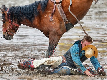 Glentworth, Saskatchewan cowboy Calder Peterson is tossed from a horse called Yodelling Alabama during novice bareback during the Calgary Stampede rodeo. AL CHAREST/POSTMEDIA