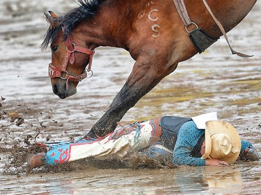 Glentworth, Saskatchewan cowboy Calder Peterson is tossed from a horse called Yodelling Alabama during novice bareback during the Calgary Stampede rodeo. AL CHAREST/POSTMEDIA