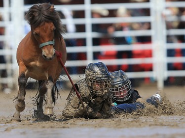 Kids get down and dirty in the wild pony race at the Calgary Stampede rodeo on Tuesday  July 11, 2017. GAVIN YOUNG/POSTMEDIA