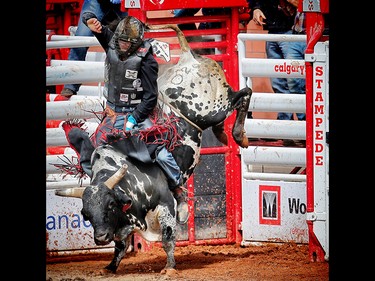 DeWinton, Albera bull rider Brock Radford during the Calgary Stampede rodeo. AL CHAREST/POSTMEDIA