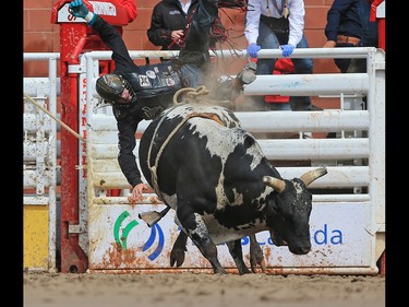 Brock Radford from Dewinton Alberta was bucked off Something' Cool in the bull riding event at the Calgary Stampede rodeo, Tuesday  July 11, 2017. GAVIN YOUNG/POSTMEDIA