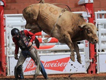 Brennon Eldred from Sulpher OK deals with bull Excessive Force in the bull riding event at the Calgary Stampede rodeo, Tuesday  July 11, 2017. GAVIN YOUNG/POSTMEDIA