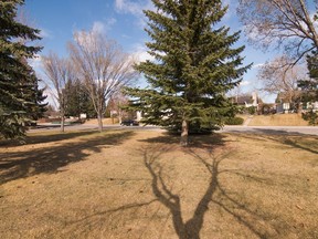 A Huntington Hills green space was part of the city's decade's-long Adopt-A-Park program.