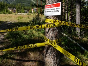 An example of how wildlife officers close off trails near Canmore when bears are feeding