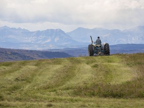A man takes in the view of the Rocky Mountains as he mows a field northwest of Calgary, on September 19, 2016. --  (Crystal Schick/Postmedia) (For  story by  )
Crystal Schick, Postmedia