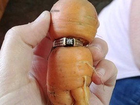 Carrot ring
