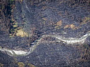 Aerial view of the Verdant Creek Wildfire in Kootenay National Park on Tuesday August 22, 2017. The fire was caused by lightning on July 15, 2017. Leah Hennel/Postmedia