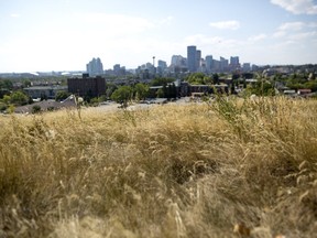 It has been a dry hot summer in Calgary. Leah Hennel/Postmedia