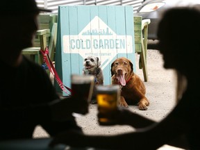 The dog-friendly Cold Garden is one of the stops on the Barley Belt's inaugural Tap Tour on Sunday.