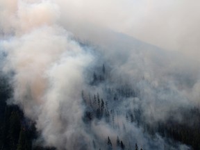 Heavy smoke blankets large areas of Kootenay National Park in B.C., forcing the closure of Hwy 93 south of Hwy 1.