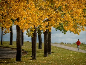 Fish Creek Provincial Park, which is ideal for a leisurely walk, isn't being treated as the gem it is, says reader.