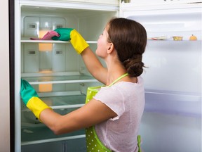 Adult housewife cleaning refrigerator inside and smiling