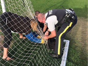 Airdrie RCMP rescue a great horned owl entangled in a school soccer net.