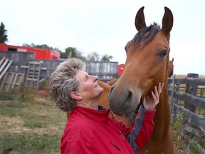 Donna Cromarty with Mickey, a purebred Polish Arabian, near Waterton Lake. Cromarty's 14 horses were evacuated with help from Hutterite colonies in the area.