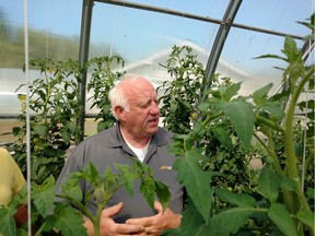 Horticulturalist Michael Stewart in his greenhouse at Fox Harb'r. Photos by Tom Keenan.