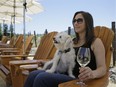 Some wineries in B.C. are now allowing pets  on the property for people visit tasting rooms.