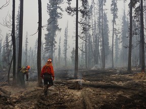 Fire crews assess and cut down hazardous trees in the southwest section of the Verdant Creek wildfire near Highway 93.