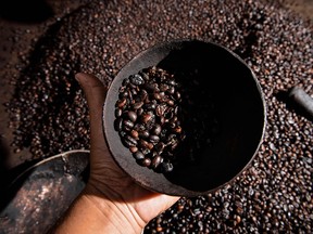 Roasted coffee beans at a factory in Banda Aceh. Coffee is the most traded commodity in the world after oil.