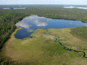Canada’s northern boreal forests are the largest storehouse of terrestrial carbon in the world.