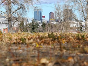 Am unsued and unoccupied piece of land located at 1920 Highfield Crescent S.E. is shown in Calgary Sunday, October 22, 2017. The City of Calgary is looking for urban farmers to turn a couple of vacant plots of land into functioning operations as part of its food sustainability plan. Jim Wells/Postmedia