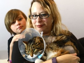 Mom, Shannon Stevenson with her son Dominick Whitney,13, and their long lost cat Lexi who was recently found after she was shot and had to have one of her legs amputated in Calgary on Sunday October 15, 2017.