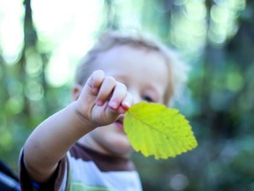 There are lots of ways to help your kids get in the habit of acting sustainably.