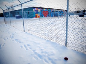 A flower in the snow near the scene of were a Newborn was found dead in the community of Bowness near the Bownesian Grocer, off Bowness Rd. and 79 St. NW. Al Charest/Postmedia