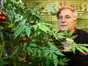 Vlassis Douvis has operated Hemp Roots for 13 years.