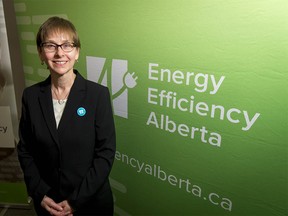 Monica Curtis is introduced as the new CEO of Energy Efficiency Alberta at the Dominion Centre in Calgary, Alta., on Tuesday, March 28, 2017. Curtis comes to the province from the Wisconsin-based Western Electricity Coordinating Council, which oversees power transmission in the western states as well as in Alberta and British Columbia. Lyle Aspinall/Postmedia Network