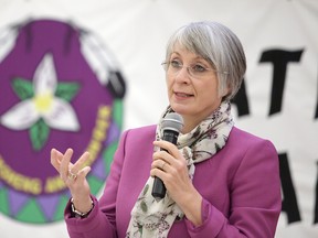 Patty Hajdu, minister of employment, workforce development and labour in Sudbury, Ont. on Tuesday November 14, 2017.