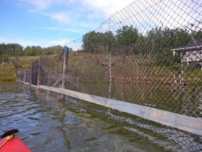 The fence at the centre of a six-year dispute between two neighbours in Bearspaw.