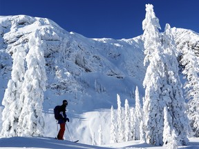 A skier makes his way up Timber Bowl at Fernie Alpine Resort last Monday, the snowy resort will host Avalanche Awareness Days this weekend.