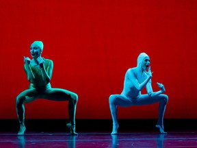 Alberta Ballet presents MOMIX's Opus Cactus, which "doesn't really tell a  story," says Moses Pendelton, "but it might be the idea that you’re taking a walk in a desert botanical garden and the only logic is that of surprise."