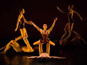 Momix brings Opus Cactus to the Jubilee, beginning Thursday.