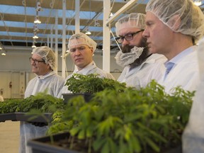Tax credits are "doing exactly what they're designed to do, which is create new jobs and help diversify the economy," says Economic Development Minister Deron Bilous, second from left. He was taking part in an event in Edmonton at Aurora Cannabis.