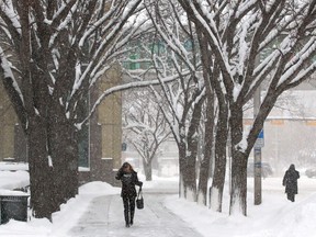 A pedestrian braves the heavy snow in a somewhat deserted downtown Calgary near City Hall on Thursday, February 8, 2018. Jim Wells/Postmedia