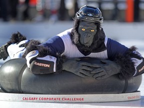 DPH Focus employee Thang Ung dressed as a gorilla for his slide down the ice for the annual Calgary Corporate Challenge human curling bonspiel in 2011. This year's Human Bonspiel runs this week.