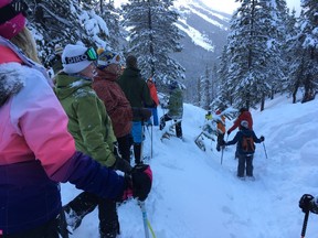 Snowshoers on a guided trek at Castle Mountain Ski Resort.  Michele Jarvie pic