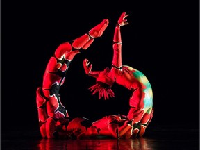 Momix Opus Cactus at Alberta Ballet