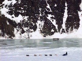 02/15/99 Eagle, Alaska -- A musher crosses the Yukon River near the Eagle, Alaska checkpoint, 500 kilometres along the 1,600 kilometre-long Yukon Quest trail. The race ended this week when Aliy Zirkle of Two Rivers, Alaska, became the first woman to win the race, the toughest in the world. Adam Killick/National Post