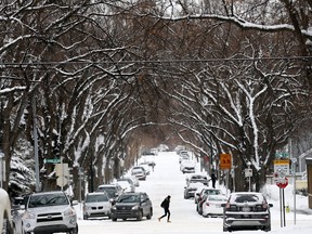 The City of Calgary has completed the $35M recovery measures enacted after the 2014 Snowtember storm that destroyed half of citys urban forest. Darren Makowichuk/Postmedia