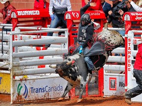 DeWinton, Albera bull rider Brock Radford during the Calgary Stampede rodeo. AL CHAREST/POSTMEDIA
