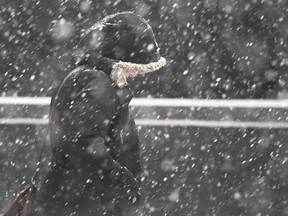 Pedestrians make their way through falling snow along Centre Street near 7th Avenue S.W. in downtown Calgary on Thursday, March 15, 2018.