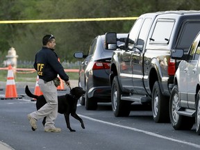 An agent the Bureau of Alcohol, Tobacco, Firearms and Explosives works with his dog near the site of Sunday's explosion, Monday, March 19, 2018, in Austin, Texas.