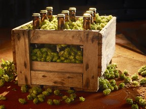 Researchers have created a genetically modified version of hops, an important ingredient in beer.