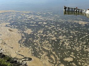 Oily water from a Husky Energy pipeline leak, floats through James Smith Cree Nation on Aug. 25, 2016.
